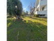 SARIKIZDAN AKÇAYDA 1263 m2 ARSA İÇİNDE SATILIK MÜSTAKİL EV